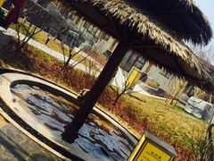 -大连金石滩绿发温泉假日酒店