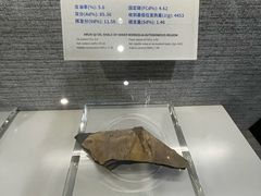 -抚顺煤矿博物馆