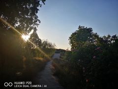 -南湖湿地公园