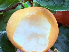 -贡椒鱼老店·雅安十大名店