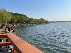 -丁香湖公园