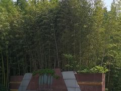 -日照海滨国家森林公园