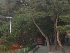 -帽儿山国家森林公园