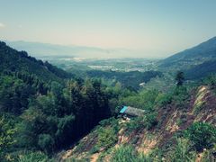 -杨家堂村