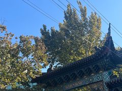 -油旋张(大观园店)