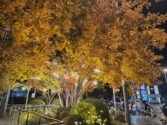 -东林广场(地铁站)