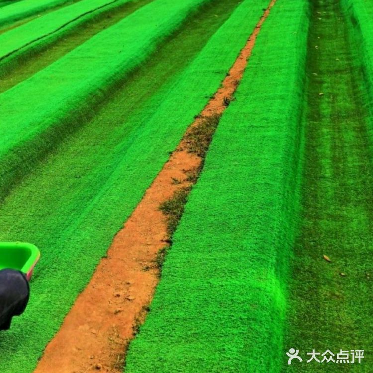 一起去滑草咯