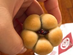 山楂酥-吴记·吴酥生PASTRY宫廷酥饼