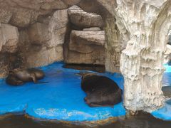 -华夏文旅海洋公园