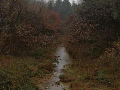 -敬亭山风景名胜区