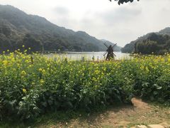 -广州市石门国家森林公园
