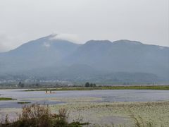 -腾冲北海湿地