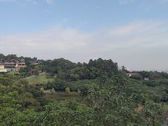 -广州莲花山旅游区