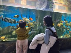 -顺德南宏海立方海洋公园
