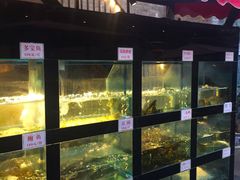 门面-院8里·少城记忆老川菜(宽窄巷子店)