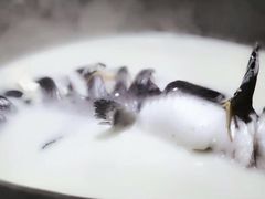 -滇小鱼·云南野生菌火锅(上杭路店)