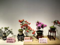 -汇龙潭