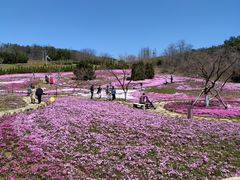 -棒棰岛宾馆景区