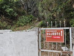 -明仕田园