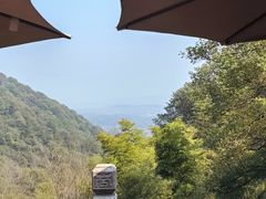-韬光茶庵