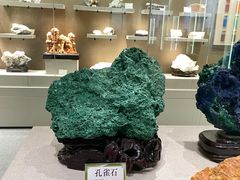 -北京中医药大学-中医药博物馆