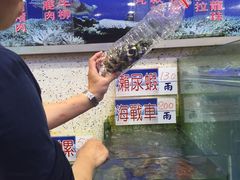 -旅南活海鲜-屏东(墾丁海鮮，海鮮餐廳，墾丁團體合菜，平價熱炒，墾丁熱炒店，活海鮮推薦，在地海鮮餐廳)