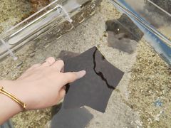 -上海海洋水族馆