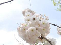 -碑林公园