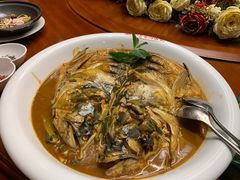 野生南湾鱼一鱼两吃-解家河南菜(商鼎路店)