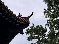 -红花山公园