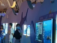 -烟台海昌鲸鲨海洋公园