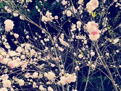 -上海市龙华烈士陵园