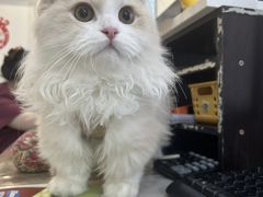 -美联众合动物医院·24h京西诊疗中心