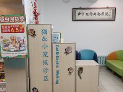 -北京观赏动物医院·24小时大型综合·猫专科·异宠专科