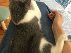 -猫爪屋猫咖(乐汇城店)