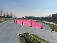 -春花秋色城市公园