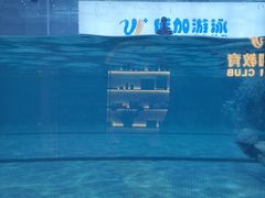 -优加国际游泳中心(开发区万达店)