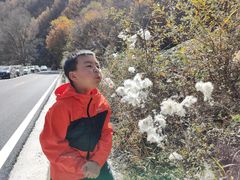 -叠溪松坪沟景区