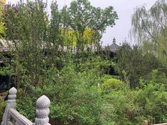 -迎泽公园