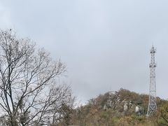 -紫金山山顶公园