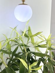 -Verywang半永久纹眉•仪器野生眉