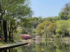 -柯岩风景区