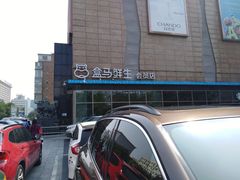-盒马鲜生(大成店)