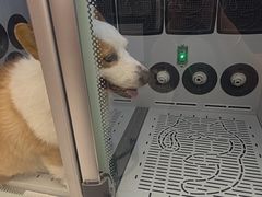 -FAELING PETS美天灵宠物(富力广场店)