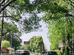 -铁山坪森林公园