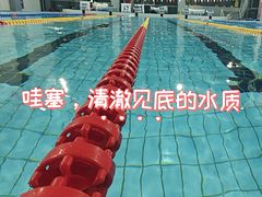 -美再晨游泳馆(新江湾店)