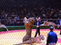 -西安秦岭野生动物园