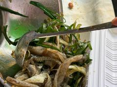 -陈添記·祖傳爽鱼皮·西关老字号(广州首店)