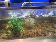 -V-ONE西雅图海鲜自助餐厅(仓山万达广场店)