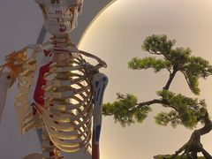 -席仁堂推拿按摩脊柱调理(世纪科贸大厦店)